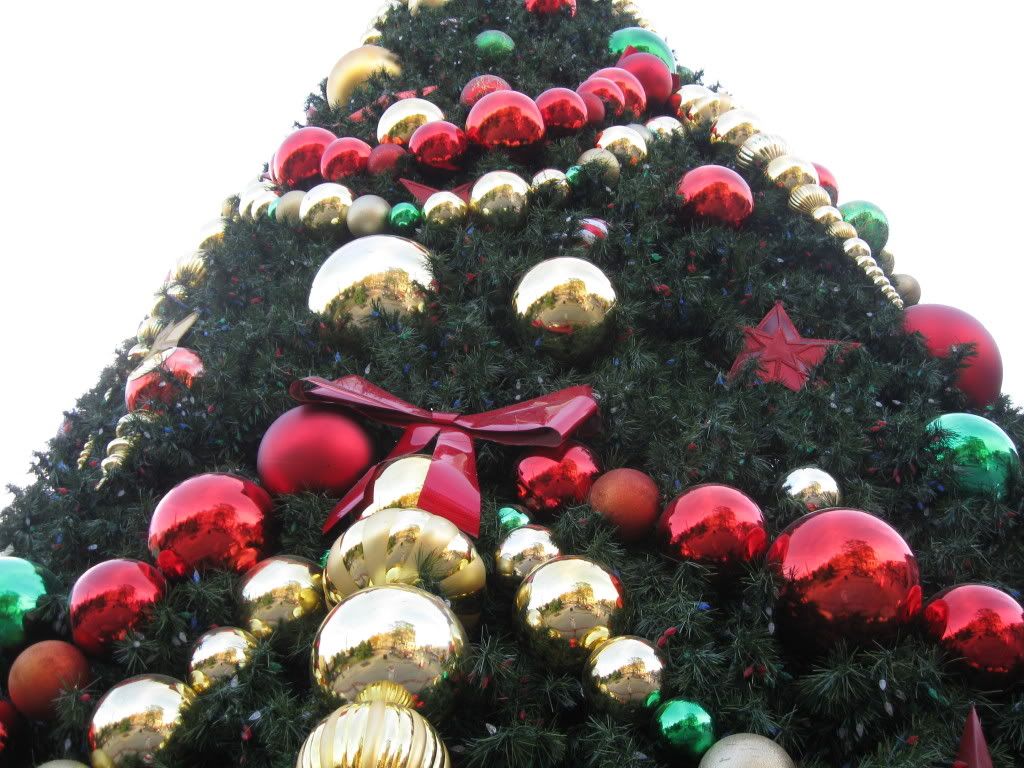 IMG_2930.jpg