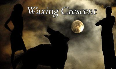Waxing Crescent Image