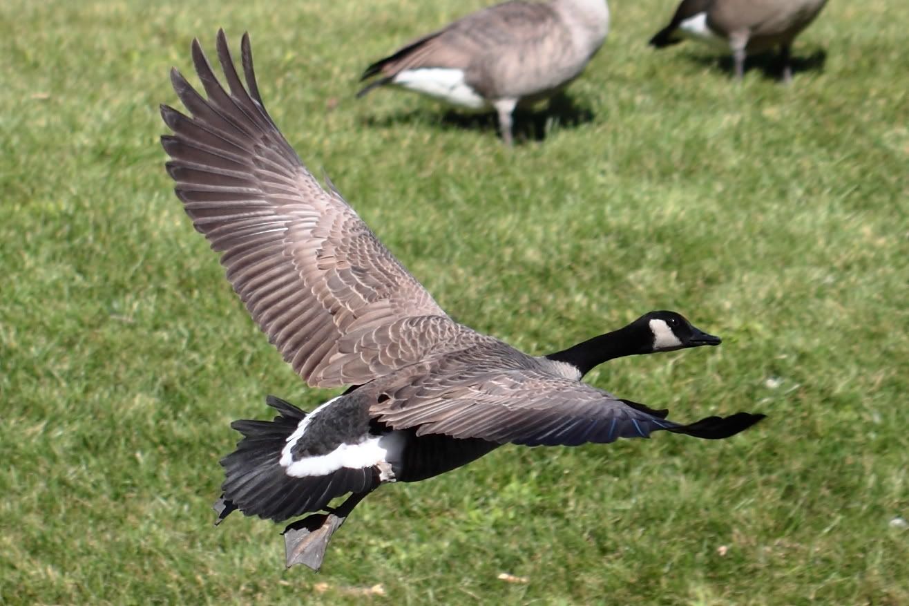 IMAGE: http://i417.photobucket.com/albums/pp252/VVFF/IMG_2990.jpg