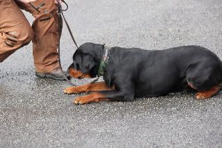 ToreKursmars2010558.jpg