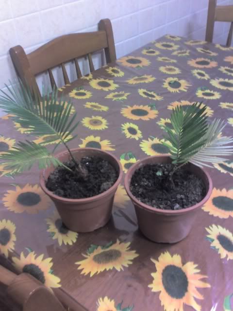 21-01-09_1143.jpg