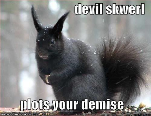 Devil Skwerl Pictures, Images and Photos