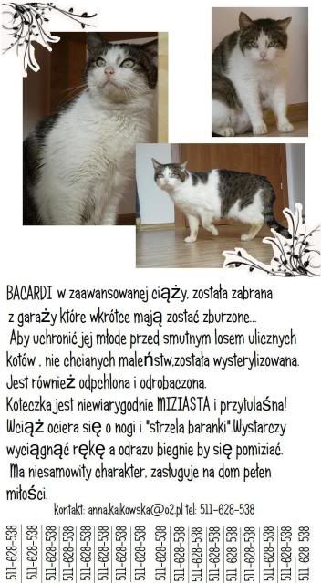 Obrazek