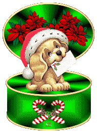 N-cachorrinho Pictures, Images and Photos