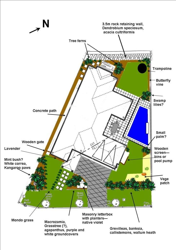 My landscape plan