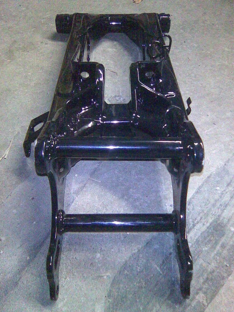 blackswingarm001.jpg