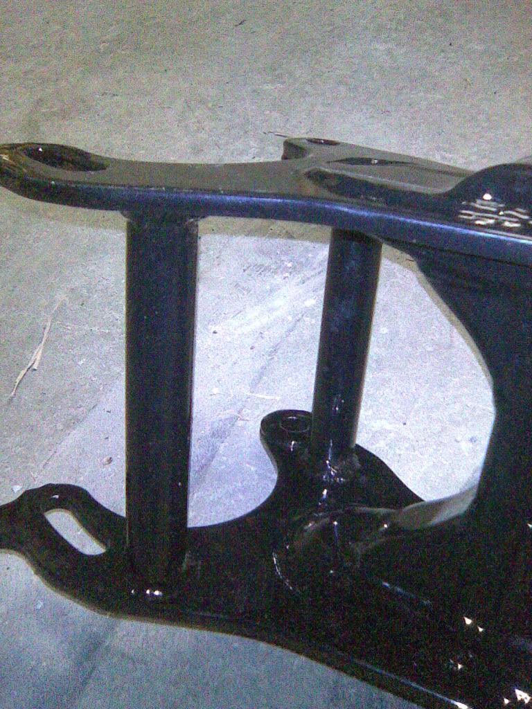 blackswingarm002.jpg