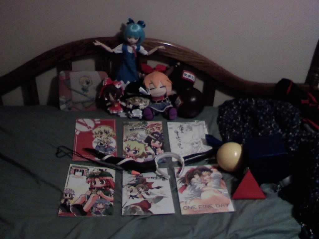 Cirno with all of Tai's Touhou stuff.