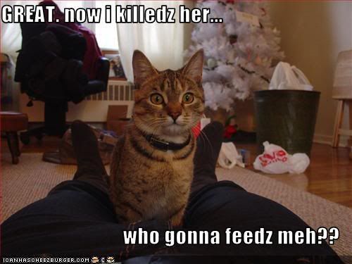 funny-pictures-murderous-cat-wonder.jpg