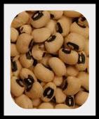 Black_Eyed_Peas-2.jpg picture by lorriejd