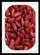 Kidney_Beans-1-1.jpg picture by lorriejd