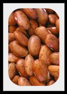 Pinto_Beans-1-1-2.jpg picture by lorriejd
