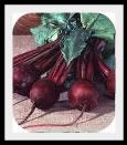 beets-1-1.jpg picture by lorriejd