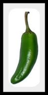 jalapeno-2.jpg picture by lorriejd