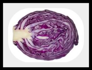 redcabbage-1.jpg picture by lorriejd