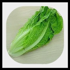 spinach-1.jpg picture by lorriejd