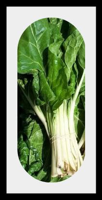 swisschard-1.jpg picture by lorriejd