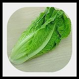spinach-1.jpg image by lorriejd