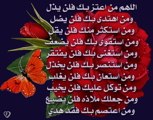 ISLAMIC Pictures, Images and Photos