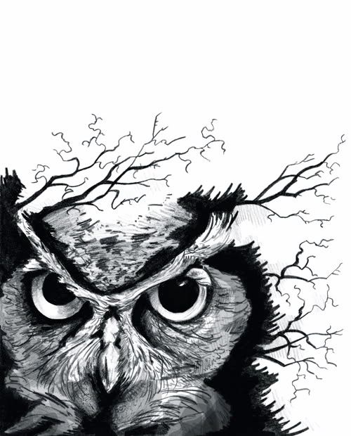 owl-tattoo.jpg