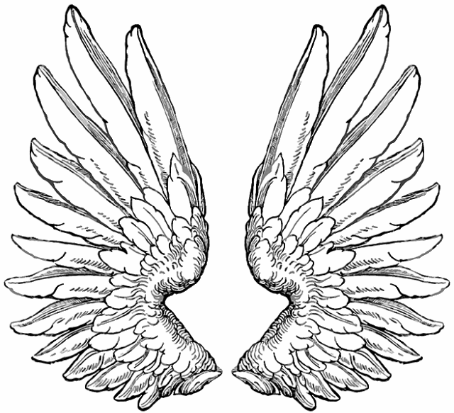 wing-tattoo-design-1.gif