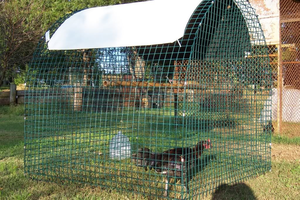 Gamefowl Pens For Sale http://www.pic2fly.com/Gamefowl+Pens+For+Sale.html
