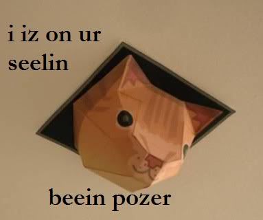 LOLcat ceiling cat Pictures, Images and Photos