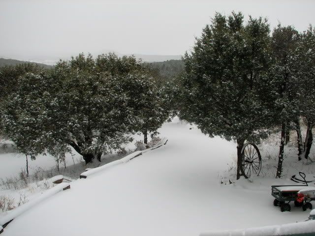 lynilu/WE LOVE SNOW/More Snow