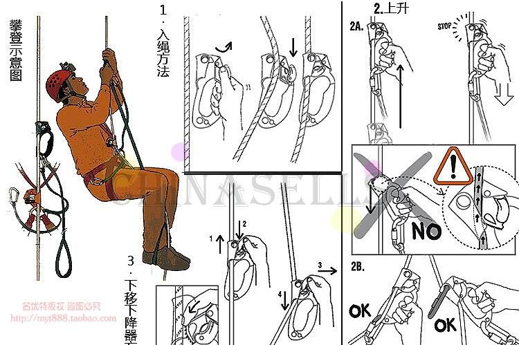  photo T2vDOXdlaXXXXXXXX_318848400_zpsdac4c59f.jpg