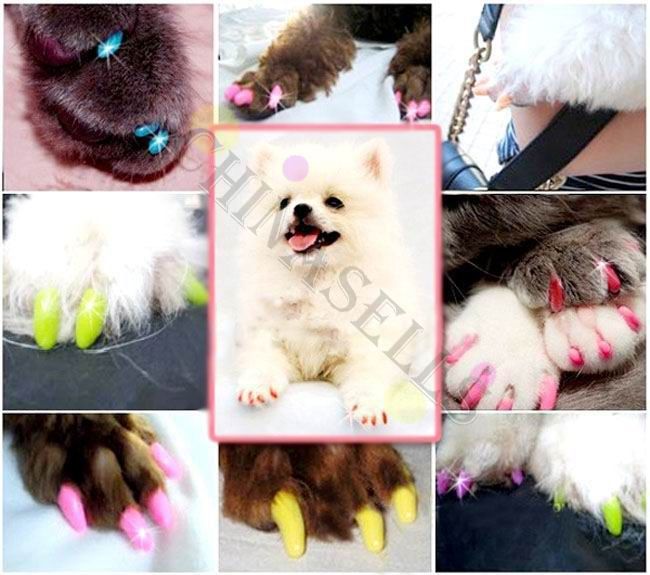  photo T2IEXPXllbXXXXXXXX_735355352_zps971e60b4.jpg