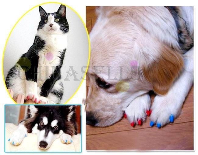  photo T2YnVPXh8cXXXXXXXX_735355352_zps69a07429.jpg