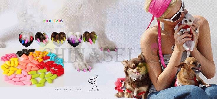  photo T2pZ6CXbhXXXXXXXXX_95012043526F672C_zps1b3b256c.jpg