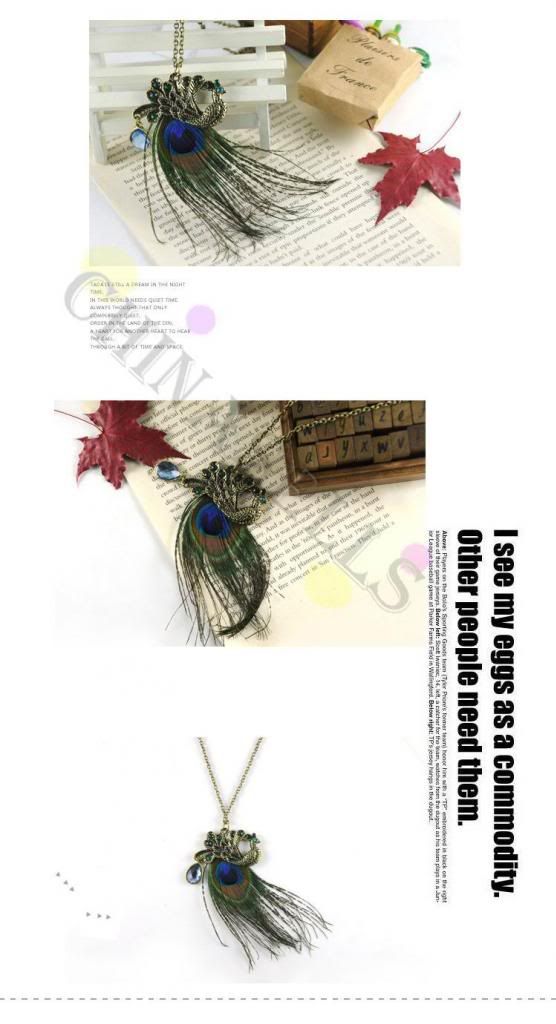  photo T2fnqXeNaXXXXXXXX_1046919738_zpsb171c5a4.jpg