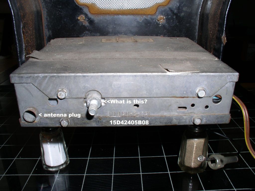 P1010008.jpg