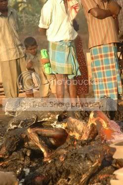 ltte.jpg